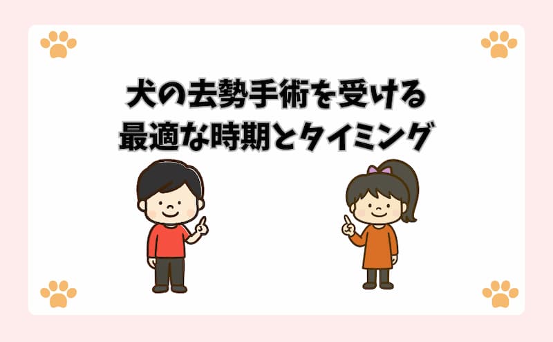 犬の去勢手術を受ける最適な時期とタイミング