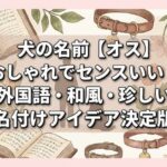 犬の名前【オス】おしゃれでセンスいい！外国語・和風・珍しい名付けアイデア決定版