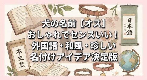 犬の名前【オス】おしゃれでセンスいい！外国語・和風・珍しい名付けアイデア決定版