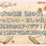 犬の名前（男の子）かっこいい・おしゃれ・和風な命名アイデア！響きと意味で選ぶ最高の名前