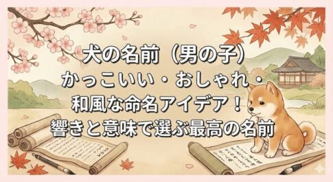 犬の名前（男の子）かっこいい・おしゃれ・和風な命名アイデア！響きと意味で選ぶ最高の名前