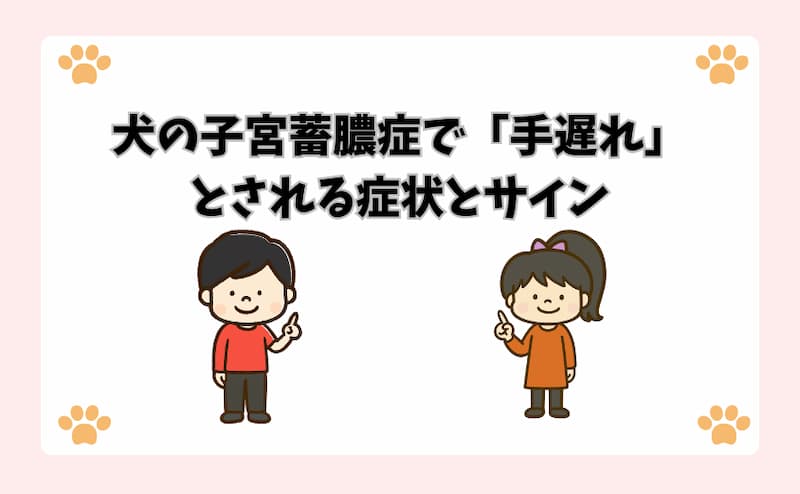 犬の子宮蓄膿症で「手遅れ」とされる症状とサイン