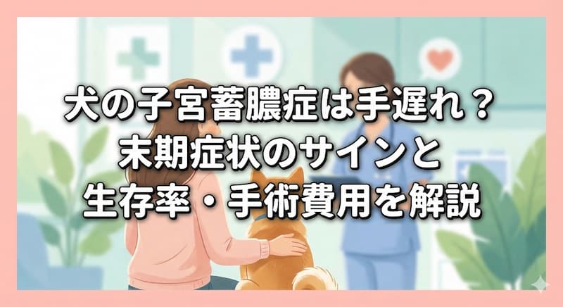 犬の子宮蓄膿症は手遅れ？末期症状のサインと生存率・手術費用を解説