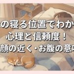 犬の寝る位置でわかる心理と信頼度！足元・顔の近く・お腹の意味は？