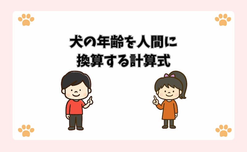 犬の年齢を人間に換算する計算式