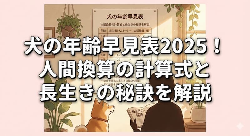 犬の年齢早見表2025！人間換算の計算式と長生きの秘訣を解説