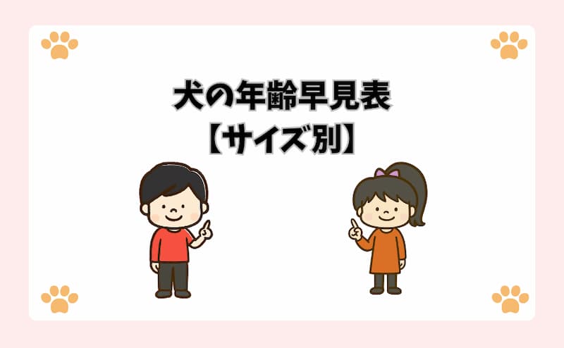 犬の年齢早見表【サイズ別】