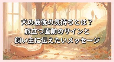 犬の最後の気持ちとは？旅立つ直前のサインと飼い主に伝えたいメッセージ