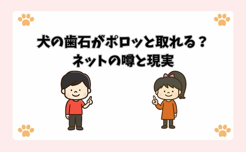 犬の歯石がポロッと取れる？ネットの噂と現実