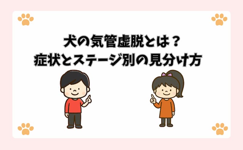 犬の気管虚脱とは？症状とステージ別の見分け方