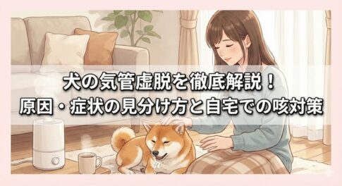 犬の気管虚脱を徹底解説！原因・症状の見分け方と自宅での咳対策