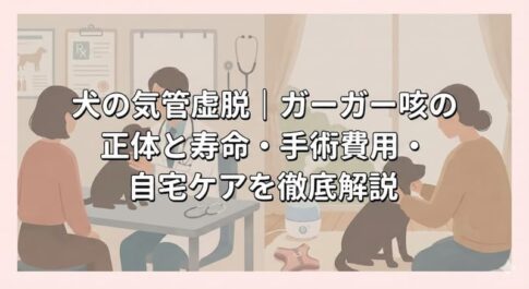 犬の気管虚脱｜ガーガー咳の正体と寿命・手術費用・自宅ケアを徹底解説