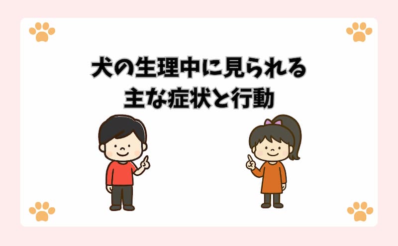 犬の生理中に見られる主な症状と行動