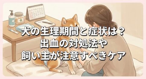 犬の生理期間と症状は？出血の対処法や飼い主が注意すべきケア