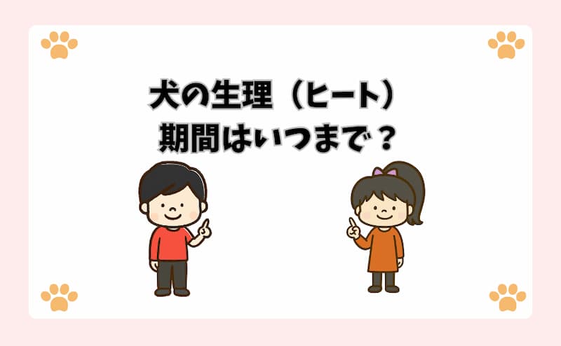 犬の生理（ヒート）期間はいつまで？