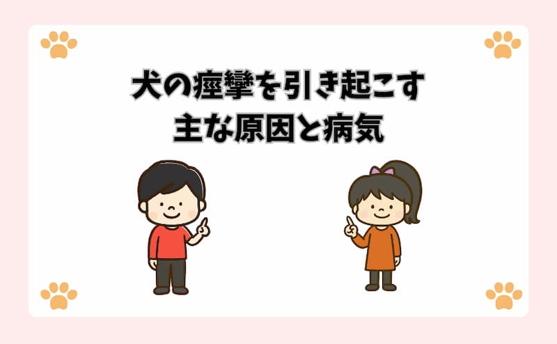 犬の痙攣を引き起こす主な原因と病気