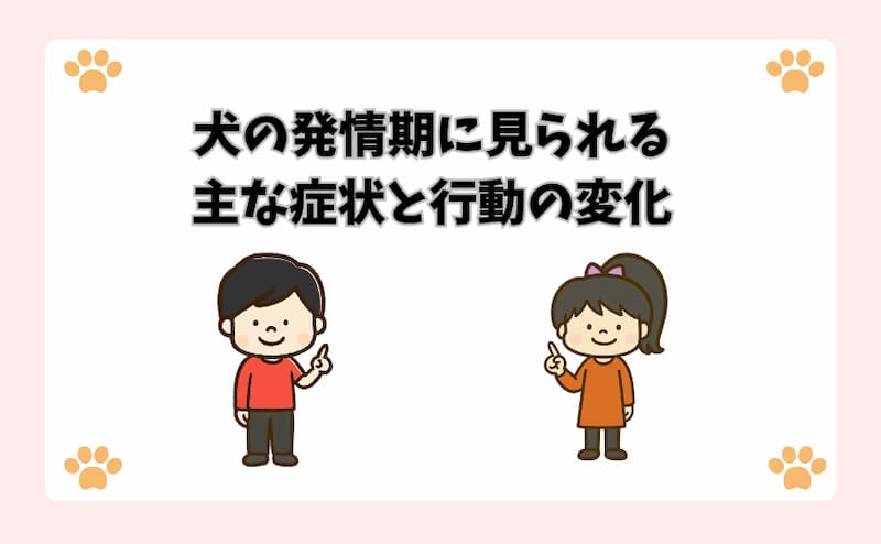 犬の発情期に見られる主な症状と行動の変化