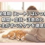 犬の発情期（ヒート）はいつから？期間・症状・注意点と飼い主がすべきケアを徹底解説