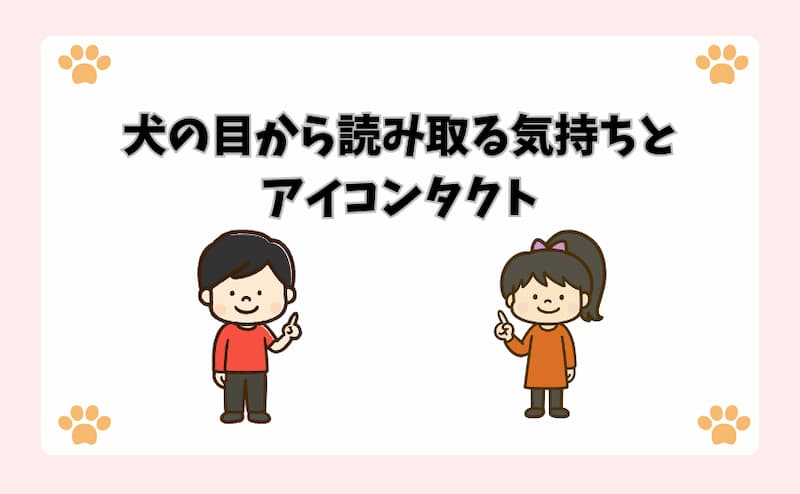 犬の目から読み取る気持ちとアイコンタクト