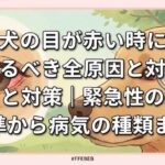 犬の目が赤い時に知るべき全原因と対策｜緊急性の判断基準から病気の種類まで