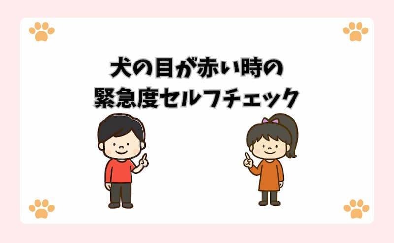 犬の目が赤い時の緊急度セルフチェック