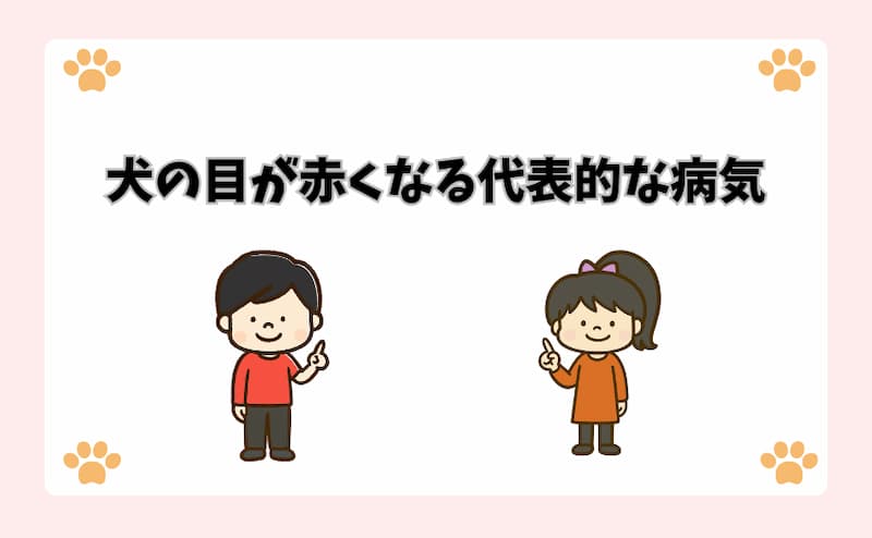 犬の目が赤くなる代表的な病気