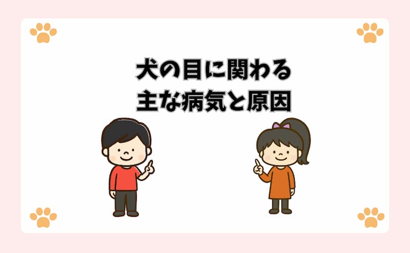 犬の目に関わる主な病気と原因