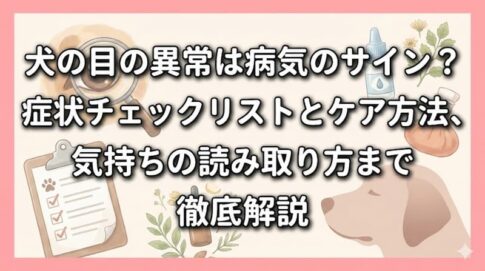 犬の目の異常は病気のサイン？症状チェックリストとケア方法、気持ちの読み取り方まで徹底解説