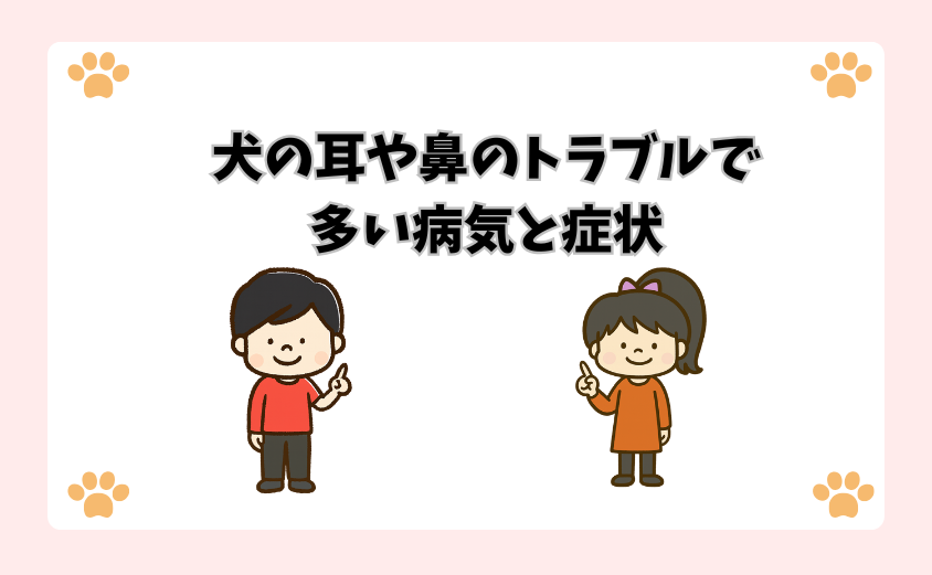 犬の耳や鼻のトラブルで多い病気と症状