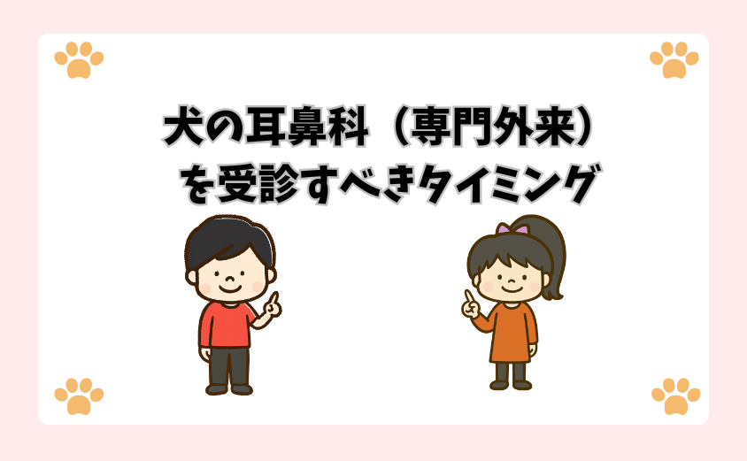 犬の耳鼻科（専門外来）を受診すべきタイミング