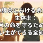 犬の膵炎における余命と生存率：愛犬の命を守るために飼い主ができる全知識