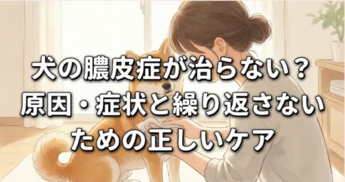 犬の膿皮症が治らない？原因・症状と繰り返さないための正しいケア