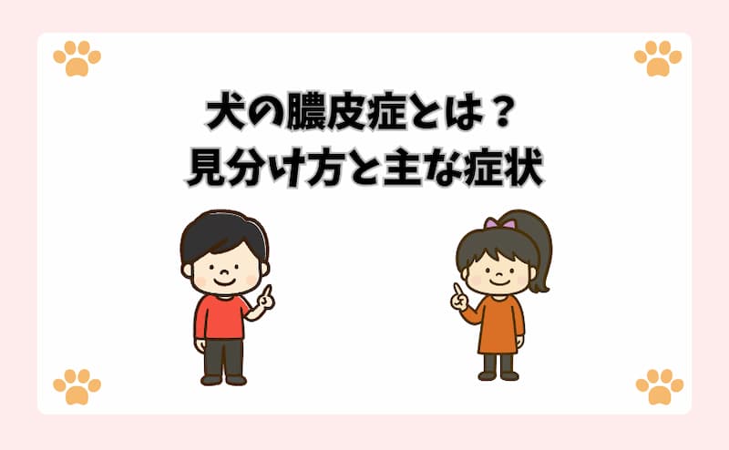 犬の膿皮症とは？見分け方と主な症状