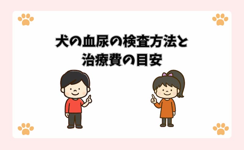犬の血尿の検査方法と治療費の目安