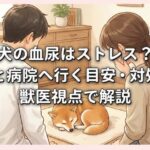 犬の血尿はストレス？原因と病院へ行く目安・対処法を獣医視点で解説