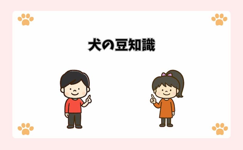 犬の豆知識