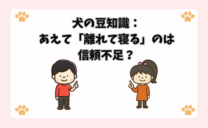 犬の豆知識：あえて「離れて寝る」のは信頼不足？