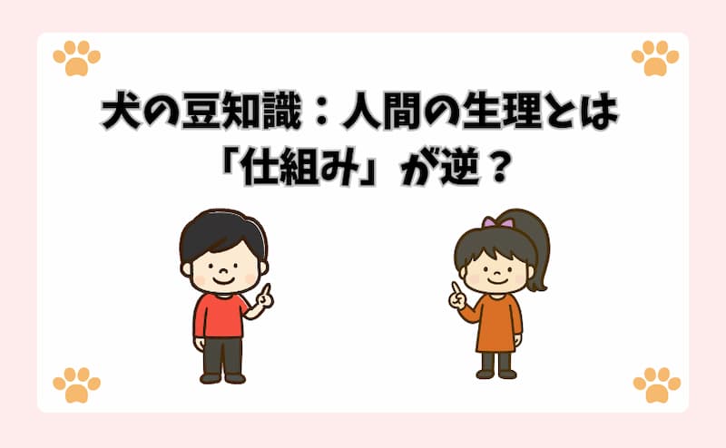 犬の豆知識：人間の生理とは「仕組み」が逆？