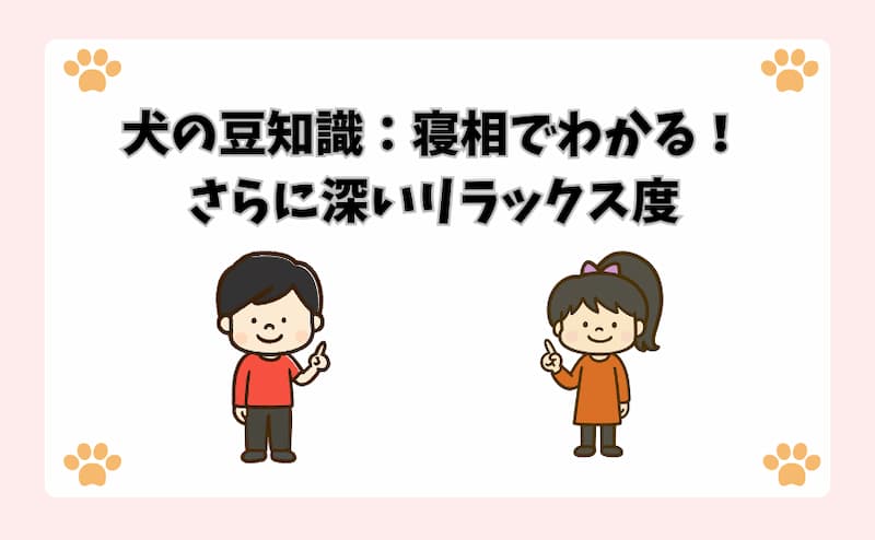 犬の豆知識：寝相でわかる！さらに深いリラックス度