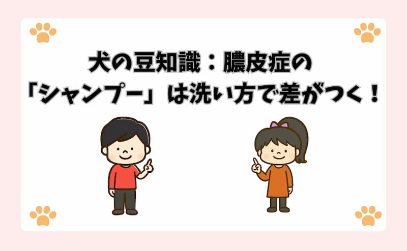 犬の豆知識：膿皮症の「シャンプー」は洗い方で差がつく！