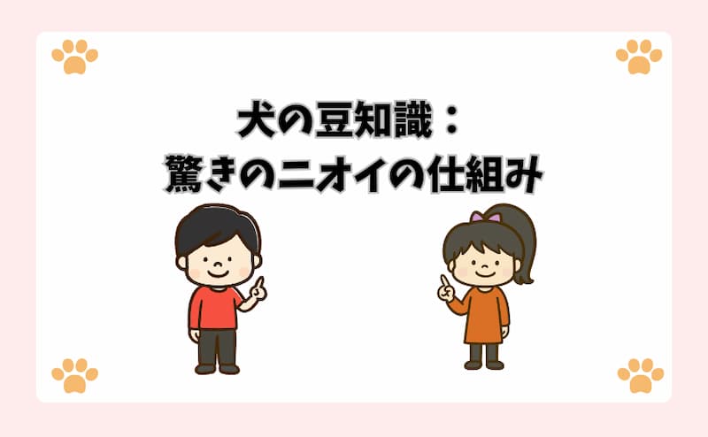 犬の豆知識：驚きのニオイの仕組み