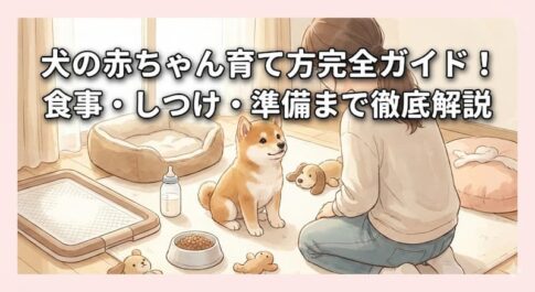 犬の赤ちゃん育て方完全ガイド！食事・しつけ・準備まで徹底解説