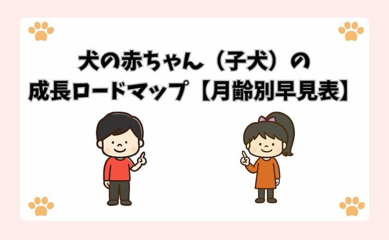 犬の赤ちゃん（子犬）の成長ロードマップ【月齢別早見表】