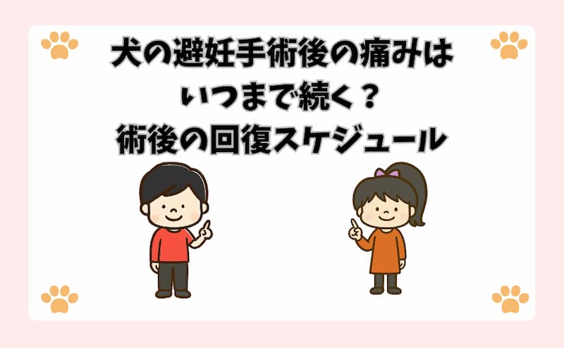 犬の避妊手術後の痛みはいつまで続く？術後の回復スケジュール