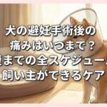 犬の避妊手術後の痛みはいつまで？回復までの全スケジュールと飼い主ができるケア