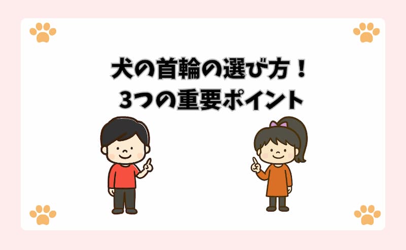 犬の首輪の選び方！3つの重要ポイント