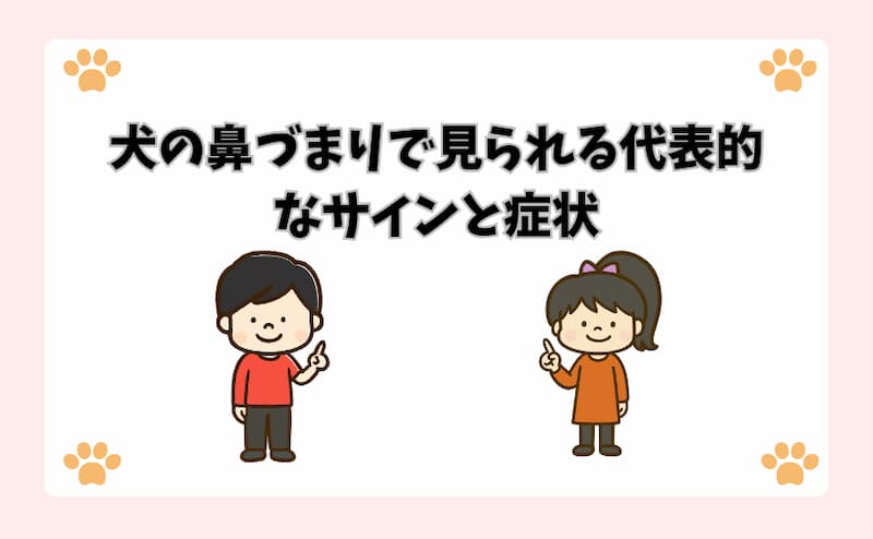 犬の鼻づまりで見られる代表的なサインと症状