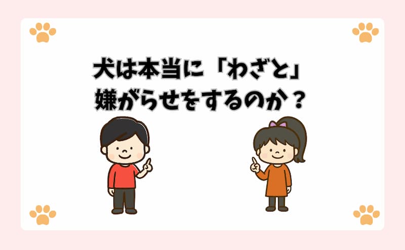 犬は本当に「わざと」嫌がらせをするのか？