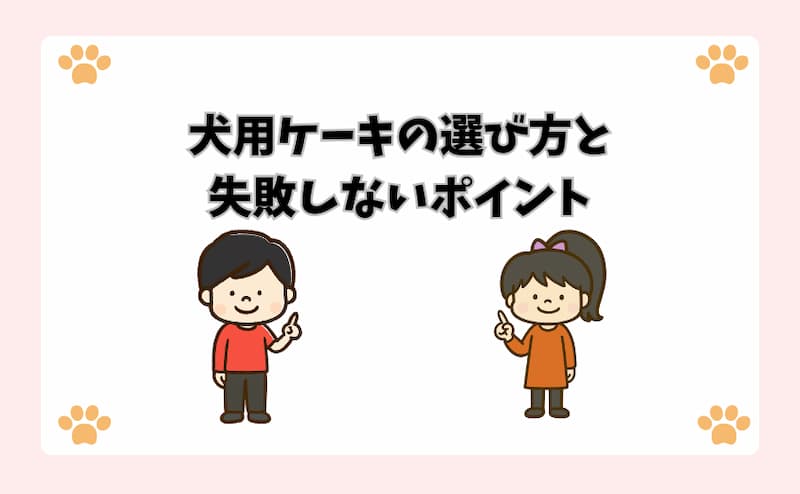 犬用ケーキの選び方と失敗しないポイント