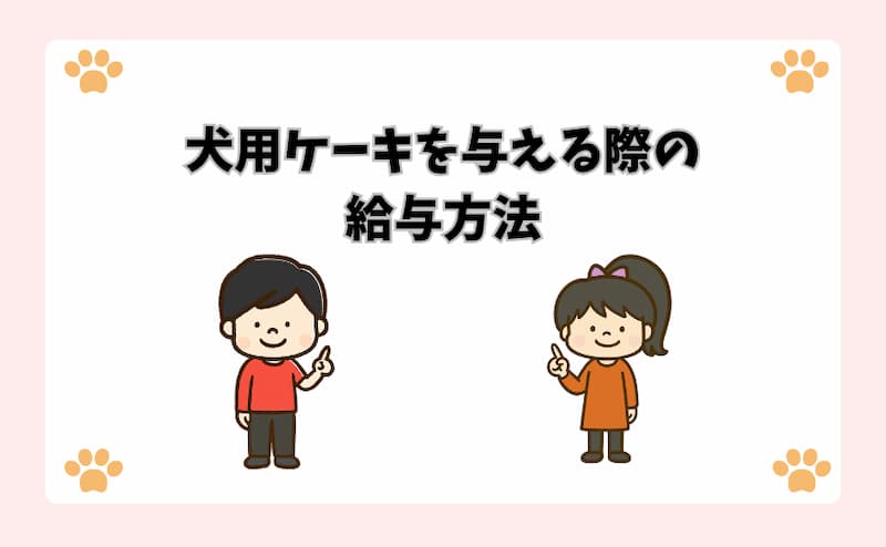 犬用ケーキを与える際の給与方法